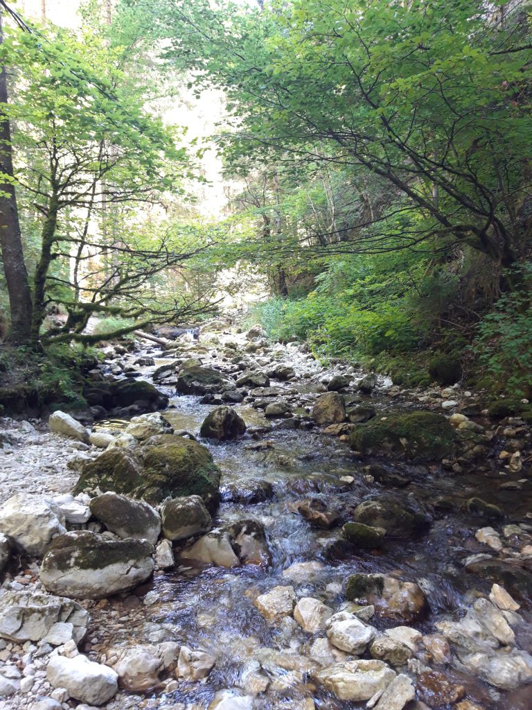 Courant d'eau Jarrie