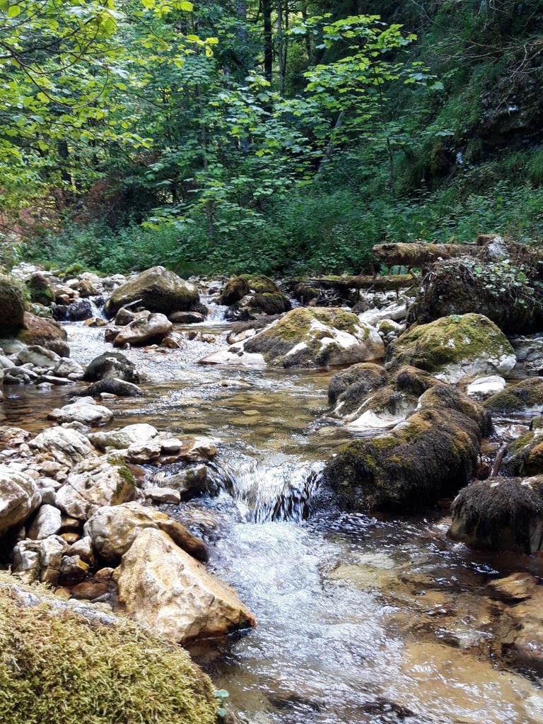 Courant d'eau Herbey